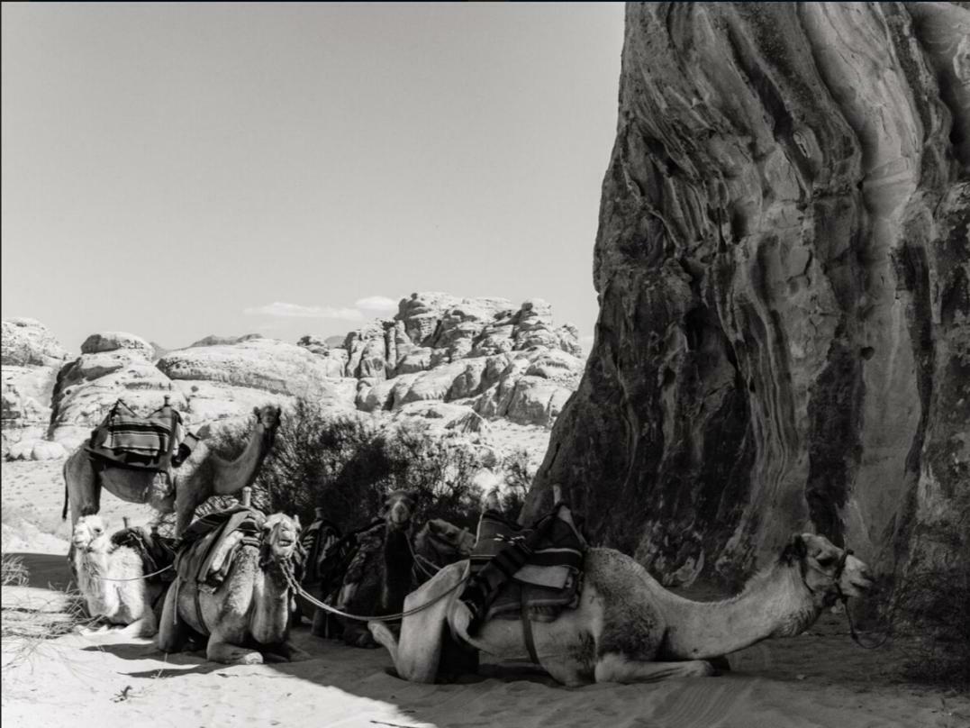 Wadi Rum Moon Camp Экстерьер фото